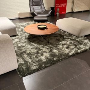 Brinker Carpets Vitero Teppich - 240×340 