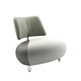 Leolux Pallone Pa fauteuil