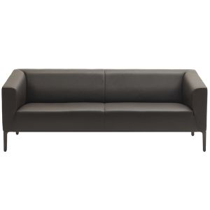 de Sede DS-161 Sofa 